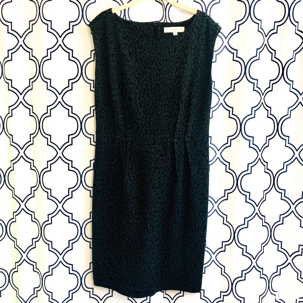 Ann Taylor LOFT dress